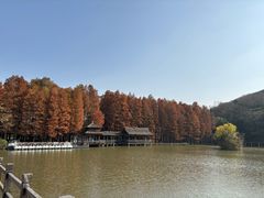 -采石矶景区