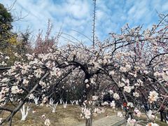 -白塘生态植物园