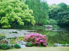 -杭州植物园