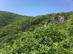 景点-皇藏峪国家森林公园