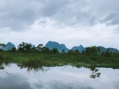 -会仙湿地