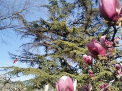 -国家图书馆·古籍馆