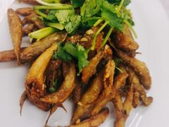 -老三鱼仔店