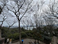 -宝石山