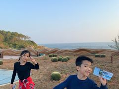-广东惠东海龟国家级自然保护区