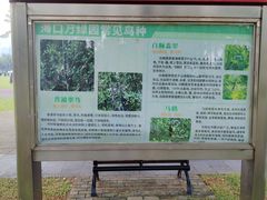 -万绿园