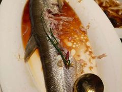 -醉庐·新上海菜(南京西路店)