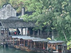 -乌镇西栅景区