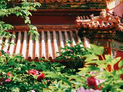 -故宫博物院(故宫)