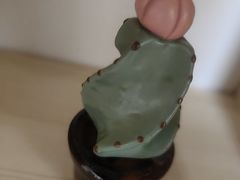 -不贰手作陶艺diy·烧玻璃·银饰团建(人民大学店)