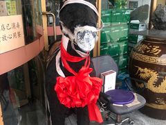 -乔家小院•本地小海鲜•非遗驴肉(万年泉路店)