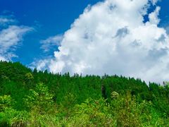 -九峰山