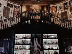 -雪灵魔法世界SHELLY’S TAROT(大良桂畔里店)