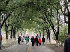 -南湖湿地公园