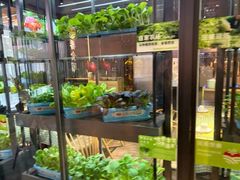 -番食园鲜食火锅(高新店)