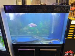 -火影不二碳烤牛肋条自助烤肉店榴莲鳗鱼生蚝(红山店)