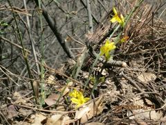 -终南山南五台景区