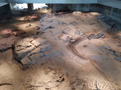 -自贡恐龙博物馆