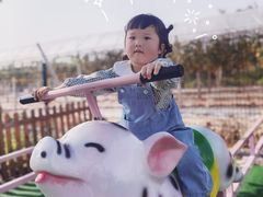 -长洲岛都市农业公园