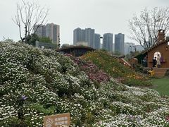 -首开·龙湖成都西宸天街