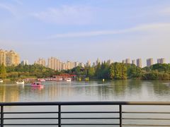-青枫公园