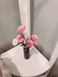 -苑苑vbeauty科技美容SPA