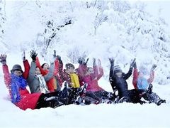 -青峰峡国家森林公园