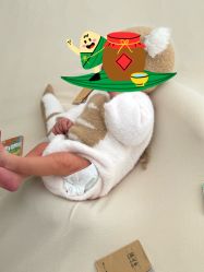 -玛瑞莎孕婴童摄影到家拍