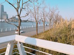 -上海山野camping·户外天幕烧烤·团建拓展营地