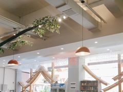 -菌乡缘·野生菌蒸汽鱼火锅(江边夜市店)