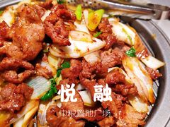 经典葱爆小羔羊肉-悦融·京鲁菜·露台花园(安定门店)