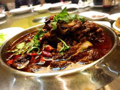 -蔡阿水羊肉店