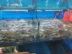 -新农都水产市场