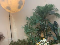-刀叉遇上筷子中西融合餐厅(成都道店)