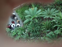-伦敦塔