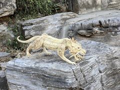 -北京西山国家森林公园