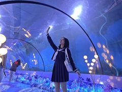 -重庆欢乐海底世界