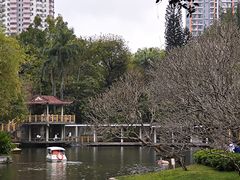 -晓港公园