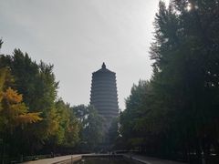 -玲珑塔公园