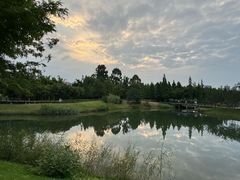 -眉山湿地公园(东坡区)