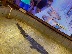 -胖姐渔村(中源大道店)