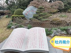 -中山公园