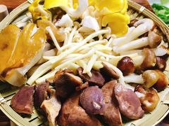-菌极鲜野生菌火锅店(阳明祠店)