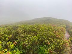 -大围山国家森林公园