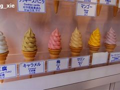 比较特别的几个-寺子屋本舗(浅草仲見世小町店)