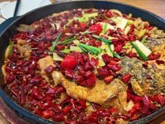 -老板恋上鱼(恒隆广场店)