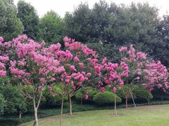 -杭州城北体育公园