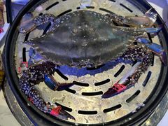 -半岛听涛蒸汽海鲜自助(K11店)