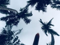 -马奴干岛