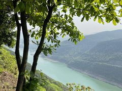 -铁山坪森林公园